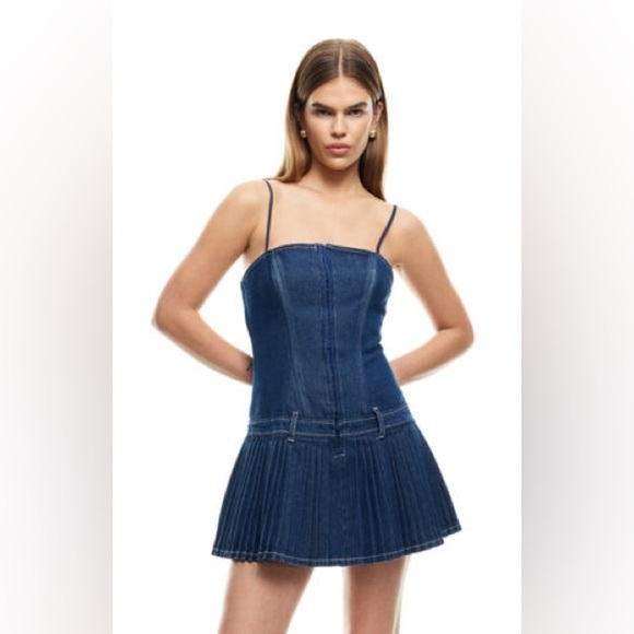 Lioness Dresses & Skirts - Lioness Honey Denim Corset Mini Dress